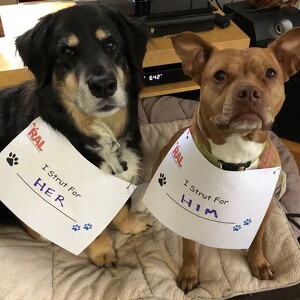 Fundraising Page: Lora Loftis